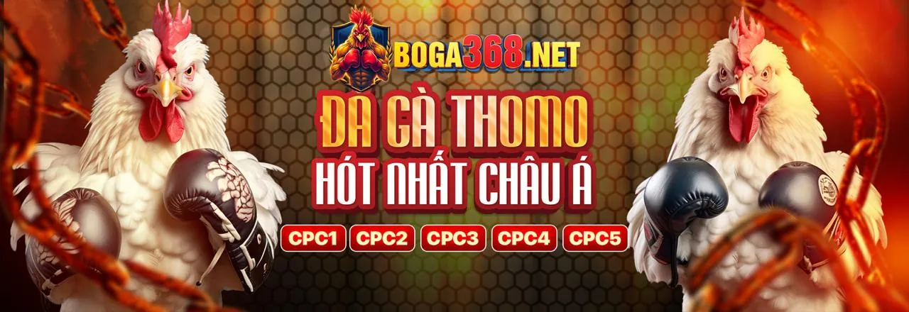 Tổng quan quyền lợi VIP